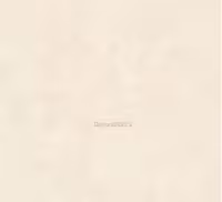 سرامیک کلوت کرم 80*80 پارس