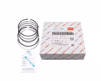 رینگ موتور سایز 025 دنده دستی X33 کدفنی 484J-1004030BA