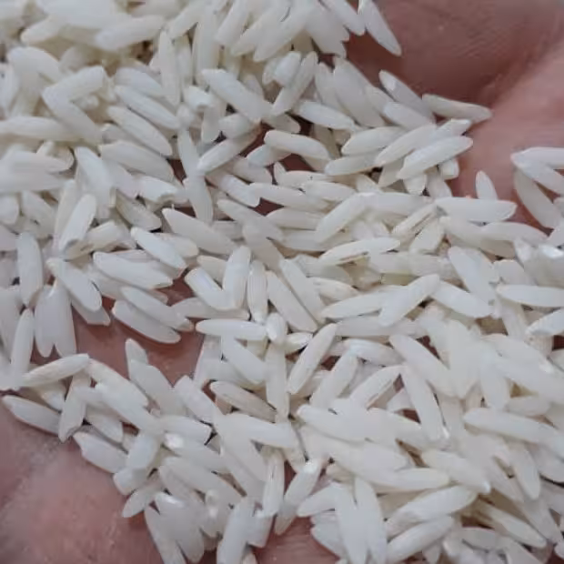 برنج سالم هاشمی گیلان 5کیلویی