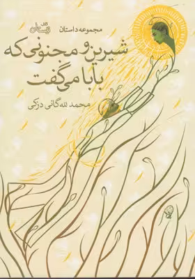 شیرین و مجنونی که بابا می گفت (مجموعه داستان)