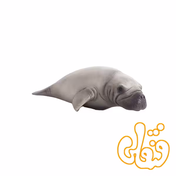 گاو دریایی Manatee 387211