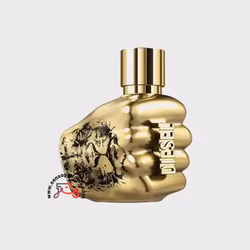 عطر ادکلن دیزل اسپیریت آف د بریو اینتنس | diesel spirit of the brave intense