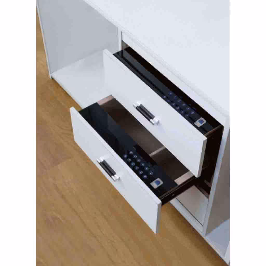 گاو صندوق ریلی دیجیتالی WS4138 _ یونی هوپر/Unihopper