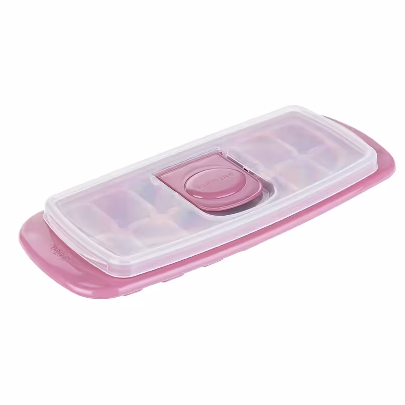 قالب یخ درب دار