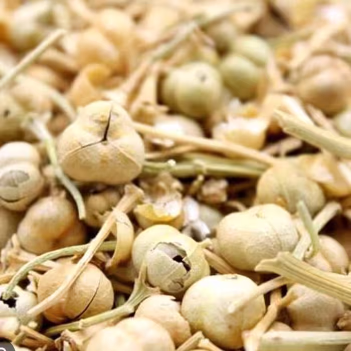 اسپند نخودی 200 گرم 