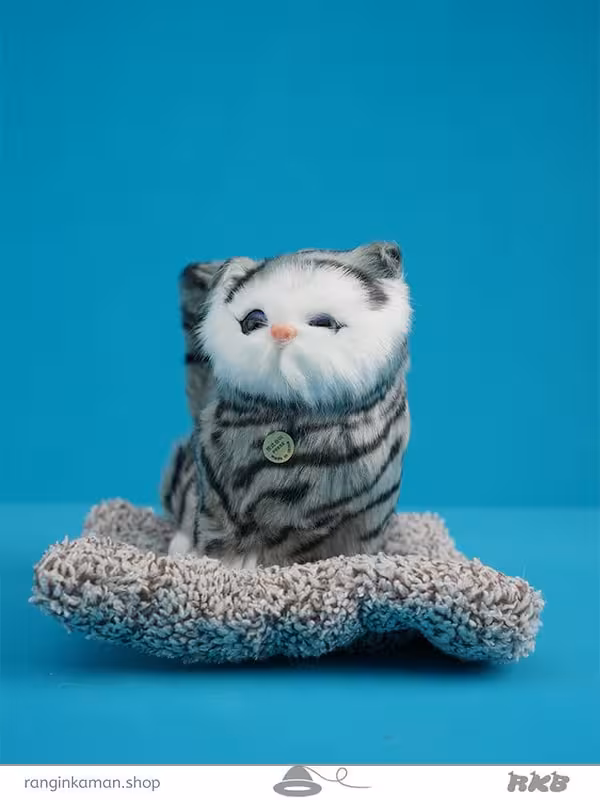 عروسک پرشین چشم باز سایز 2 بزرگ Persian doll with big eyes, size 2