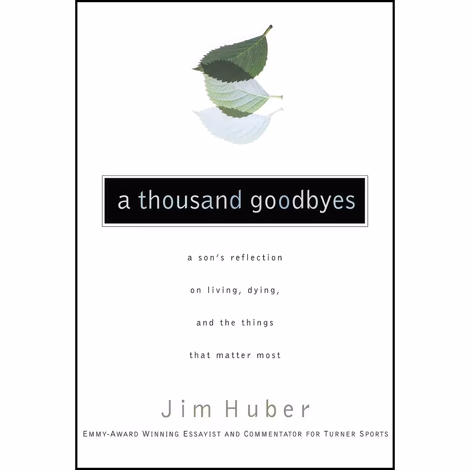 کتاب زبان اصلی A Thousand Goodbyes اثر Jim Huber