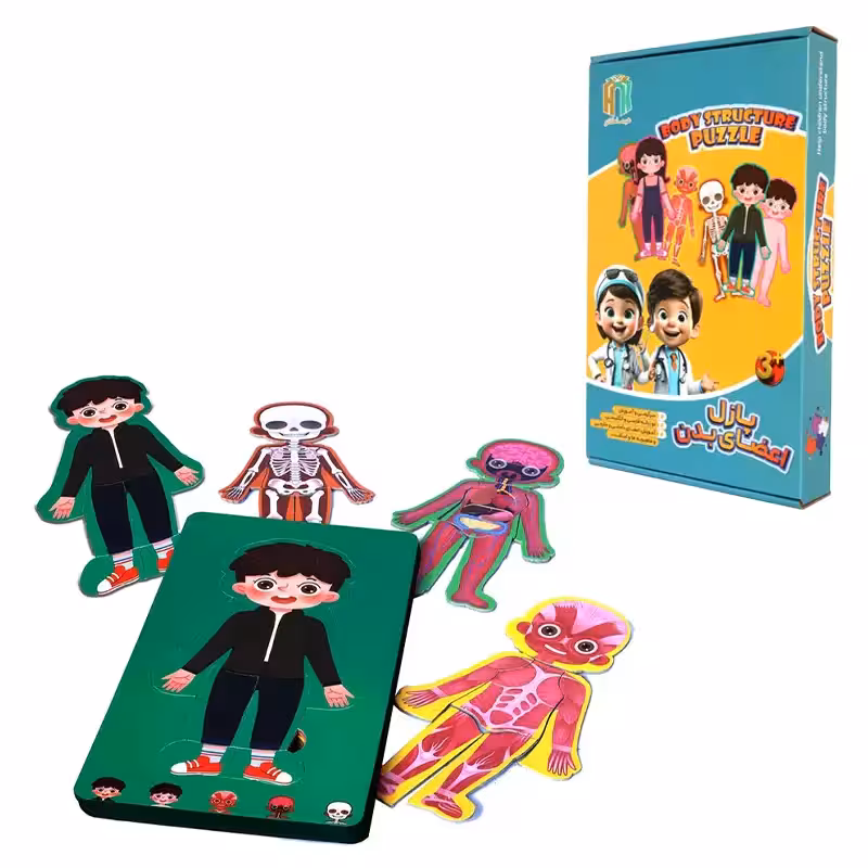 پازل جاگذاری آناتومی بدن انسان مدل پسرانه کد 5745833