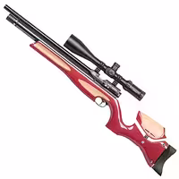 تفنگ پی سی پی ایر ارمز آر اس ان 70