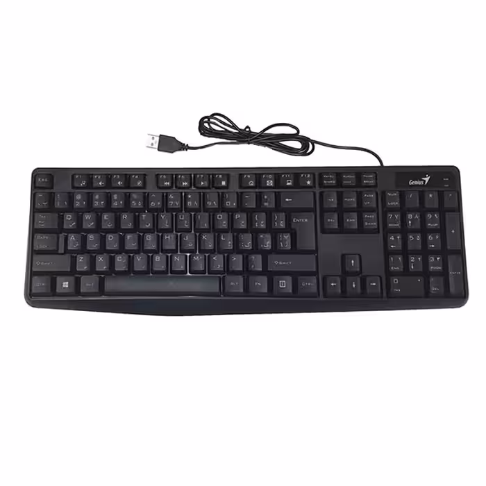 کیبورد جنیوس KB-117