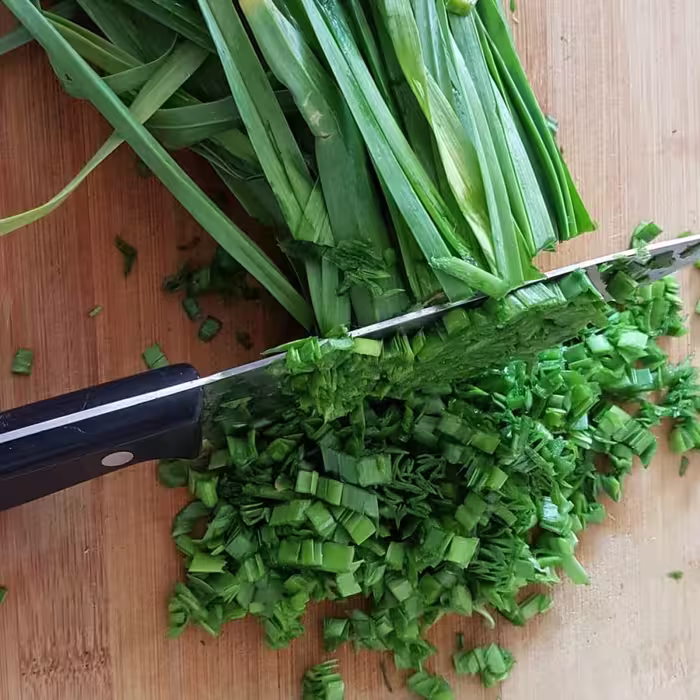 بذر تره 40 گرمی