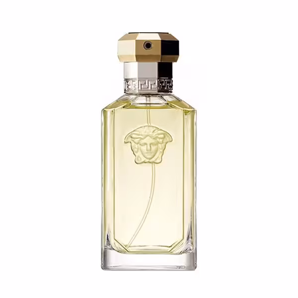 عطر ورساچه دریمر مردانه ادوتویلت 100 میل