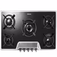 گاز صفحه‌ای استیل البرز مدل G 5901S