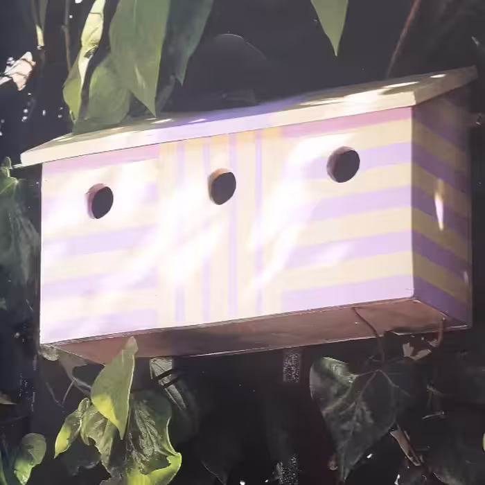 كتاب Birdhouses اثر Alison Jenkins انتشارات Ted Smart