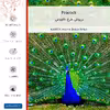 برچسب پوششی ماهوت مدل Peacock مناسب برای گوشی موبایل شیائومی Poco M4 Pro 4G
