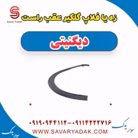 زه یا فلاپ گلگیر عقب راست دیگنیتی