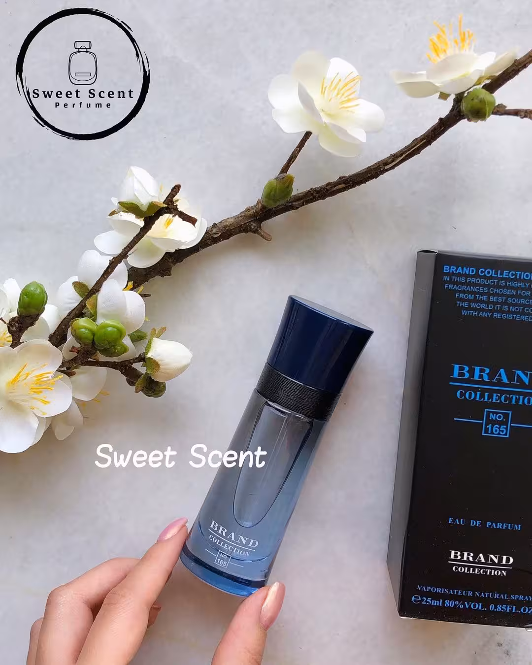 عطر ادکلن مینی جورجیو آرمانی آرمانی کد کولونیا برند کالکشن  | Giorgio Armani Armani Code Colonia حجم 25 میل کد 165