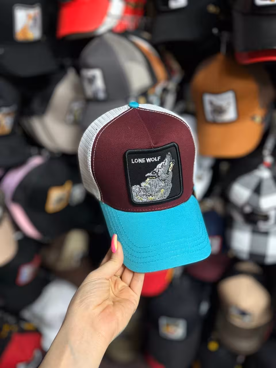 کلاه گورین lone wolf پشت تور
