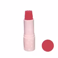 رژگونه کالر کستل مدل پنجه گربه شماره 03