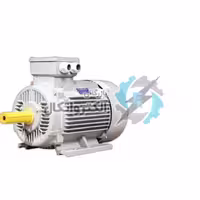 الکتروموتور ارسم گوانگلو 18.5KW سه فاز 3000 دور