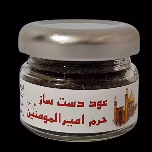 عود حرم امیرالمومنین 