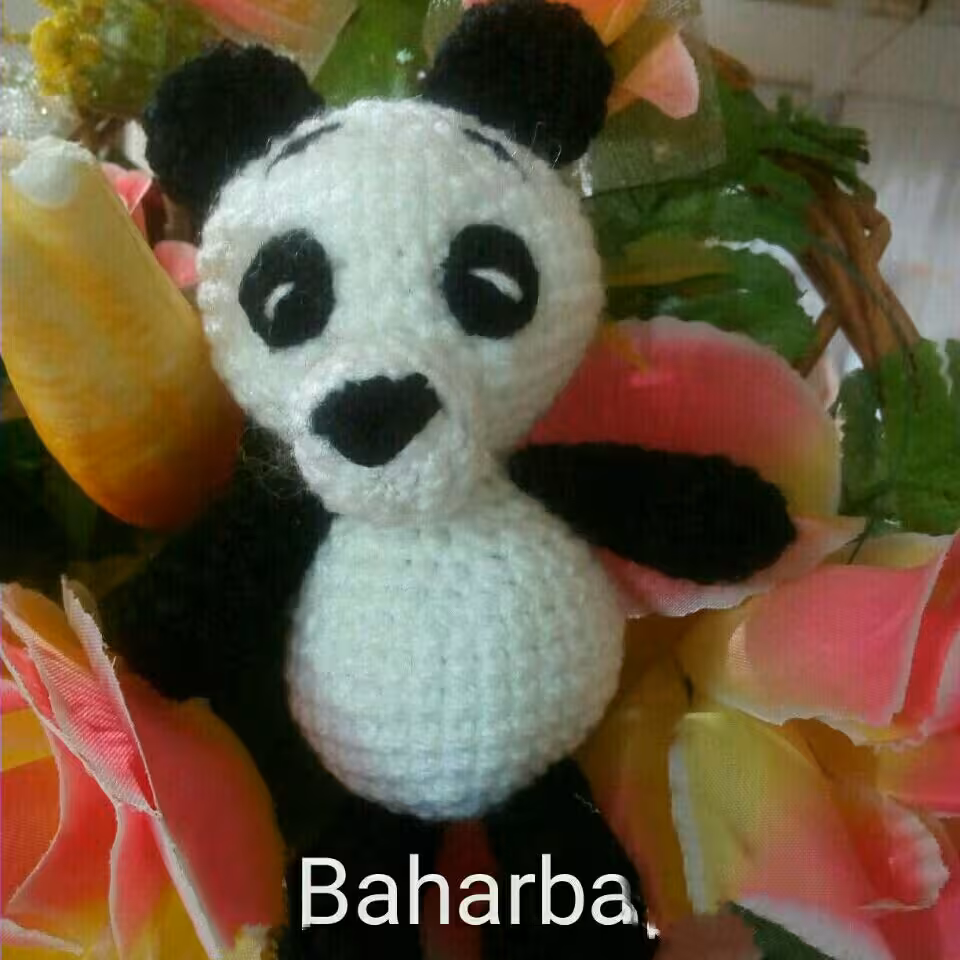 خرس پاندا 