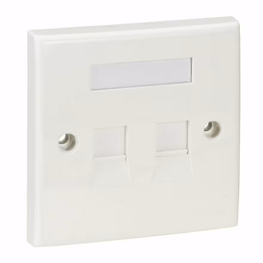 فیس پلیت 2 پورت اشنایدر الکتریک Digilink DCXIOFPDSXXXX