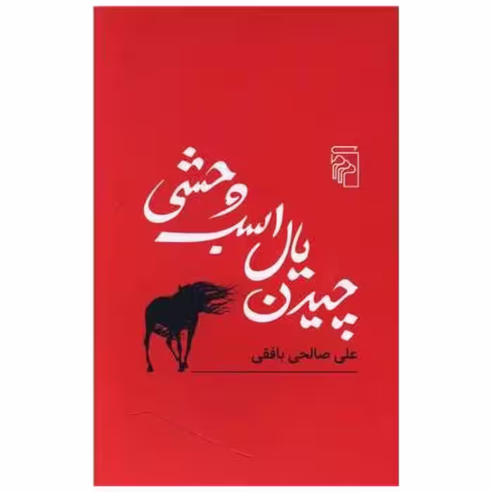 کتاب چیدن یال اسب وحشی اثر علی صالحی بافقی