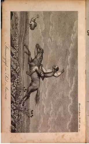 خرید و دانلود نسخه کامل کتاب Die wichtigsten neuern Land- und Seereisen