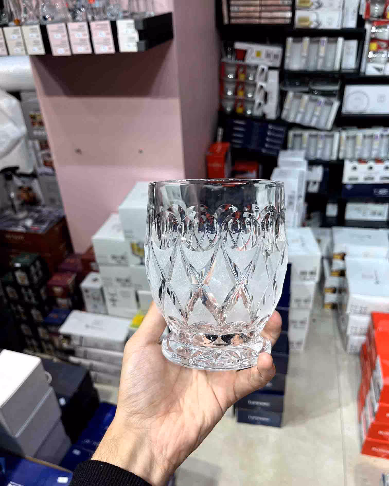 جاکاردی آنجلیکا