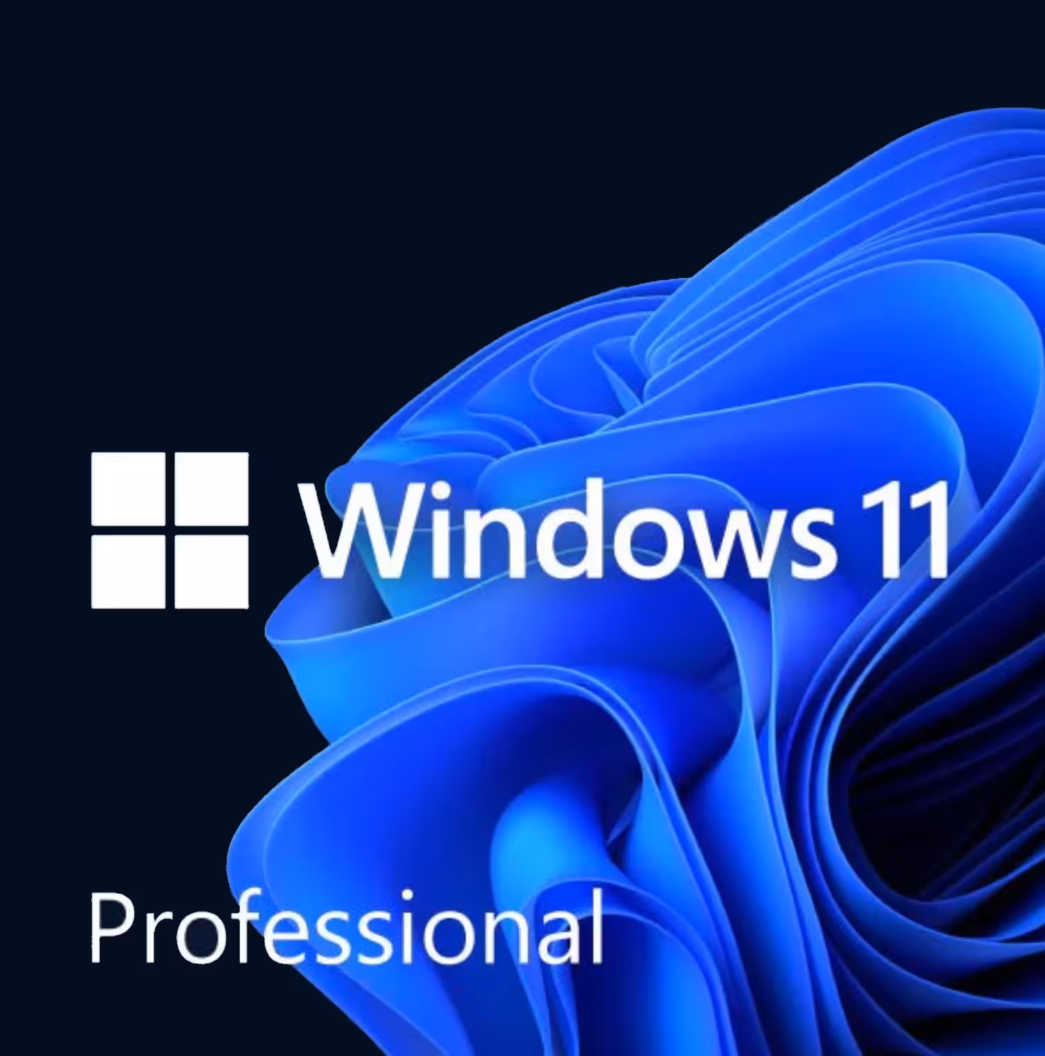 سیستم عامل WIN 11 PROFESSIONAL ORGINAL نشر آترون