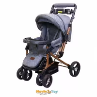 کالسکه دلیجان مدل بنیتا