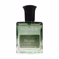 عطر جیبی  مردانه پاور پالس مدل پگاسوس حجم 25 میلی لیتر