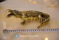 تمساح کوتاه برنزی
