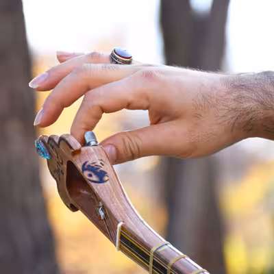 سه تار ایران ساز مدل شمع و پروانه