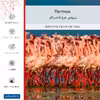برچسب پوششی ماهوت مدل Flamingo مناسب برای گوشی موبایل شیائومی Poco X3 NFC