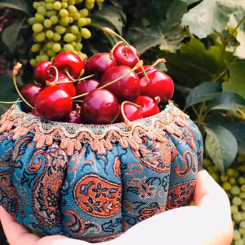 جا جواهری ترمه کد دو