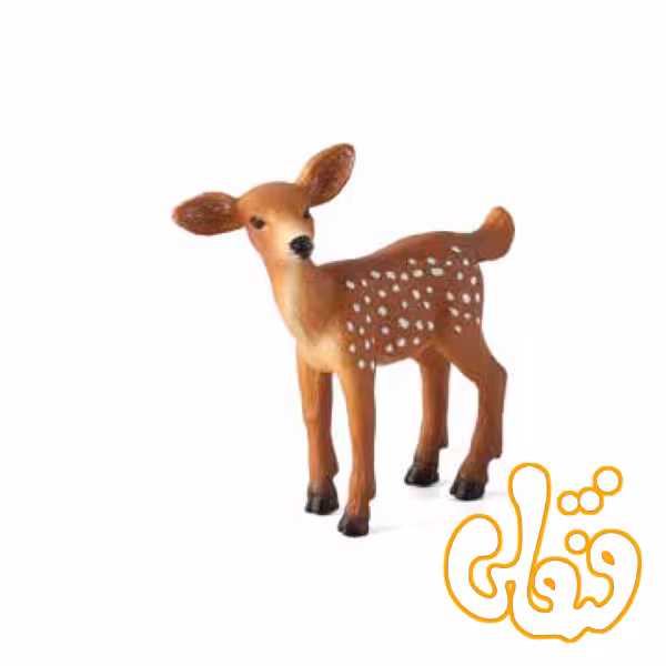 بچه گوزن دم سفید White Tailed Deer Fawn 387036