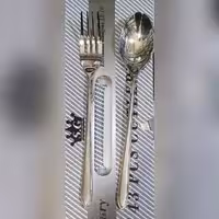 سرویس قاشق چنگال 30 نفره اس جی مدل 305s