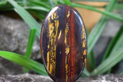 چشم ببر اهنی