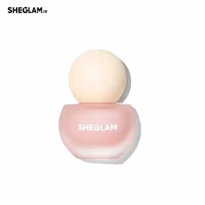 پرایمر نیاسینامید شیگلم