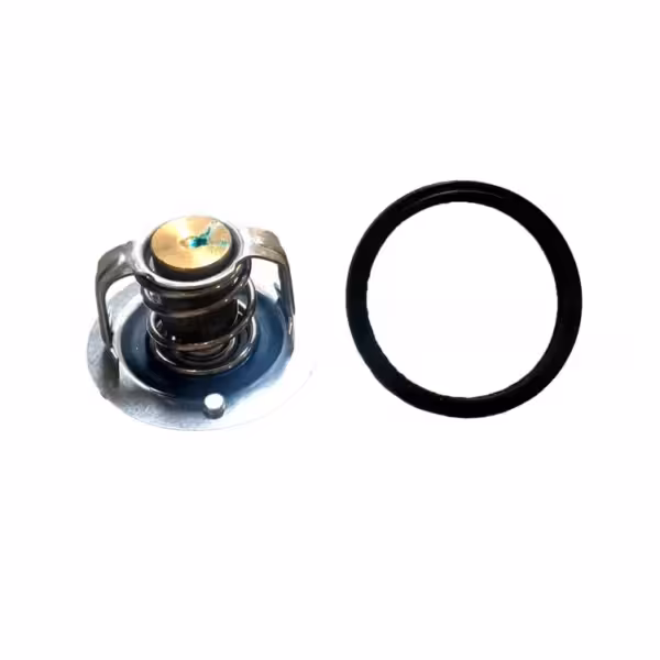 ترموستات دوو ماتیز کره