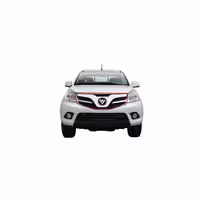 خرید جلوپنجره فوتون تونلند بنزینی یورو 4 طرح اصلی | اتوموبی