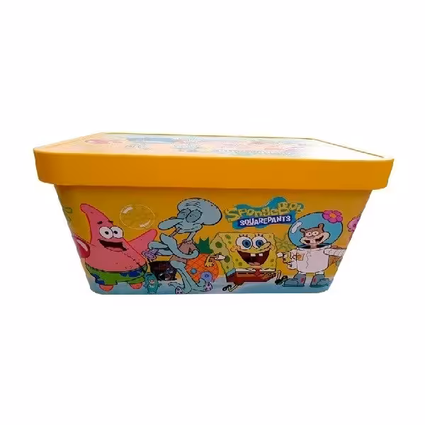 باکس نظم دهنده بزرگ طرح باب اسفنجی