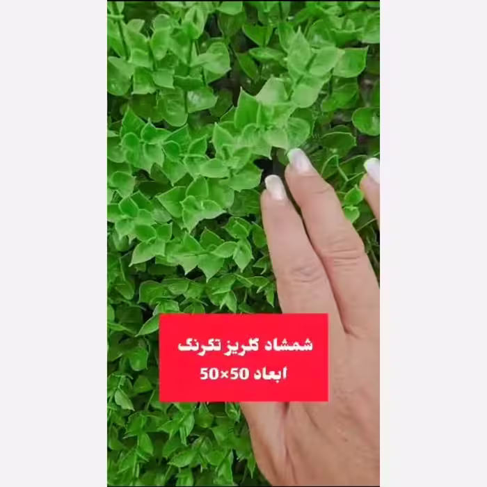 گرین وال شمشاد گلریز تک رنگ ابعاد 50در50 cm (دیوار سبز/گرینوال)(پس کرایه)