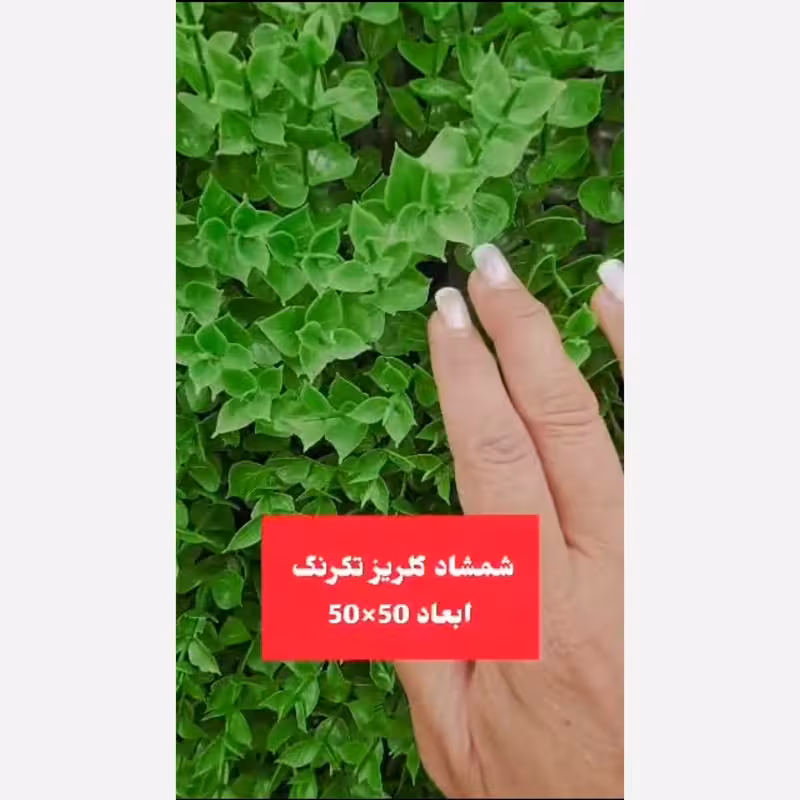 گرین وال شمشاد گلریز تک رنگ ابعاد 50در50 cm (دیوار سبز/گرینوال)(پس کرایه)