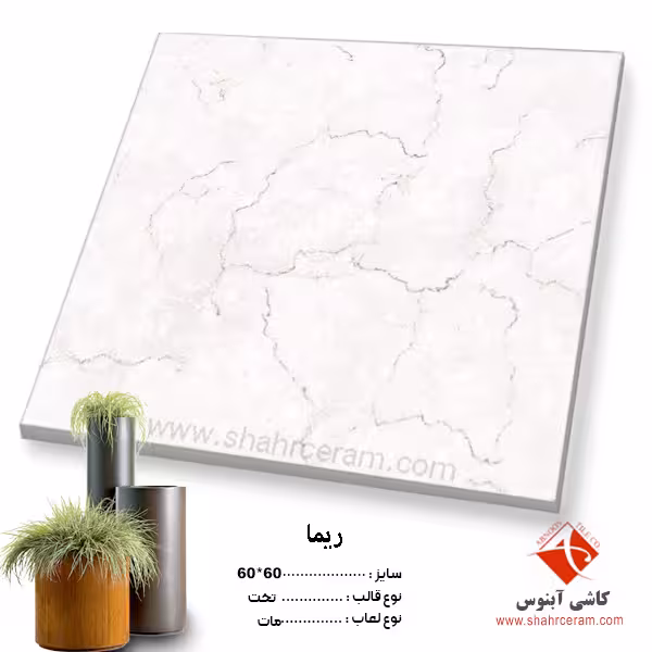 سرامیک ریما 60*60 کاشی آبنوس