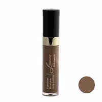 ریمل ابرو لوسمنت حاوی روغن آرگان و آلوورا شماره 04