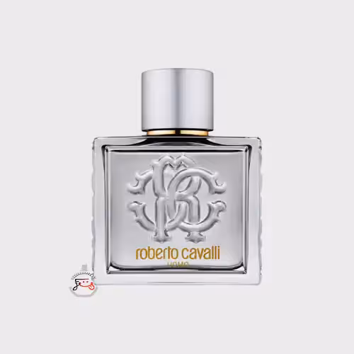 عطر ادکلن روبرتو کاوالی یومو سیلور اسنس | roberto cavalli uomo silver essence