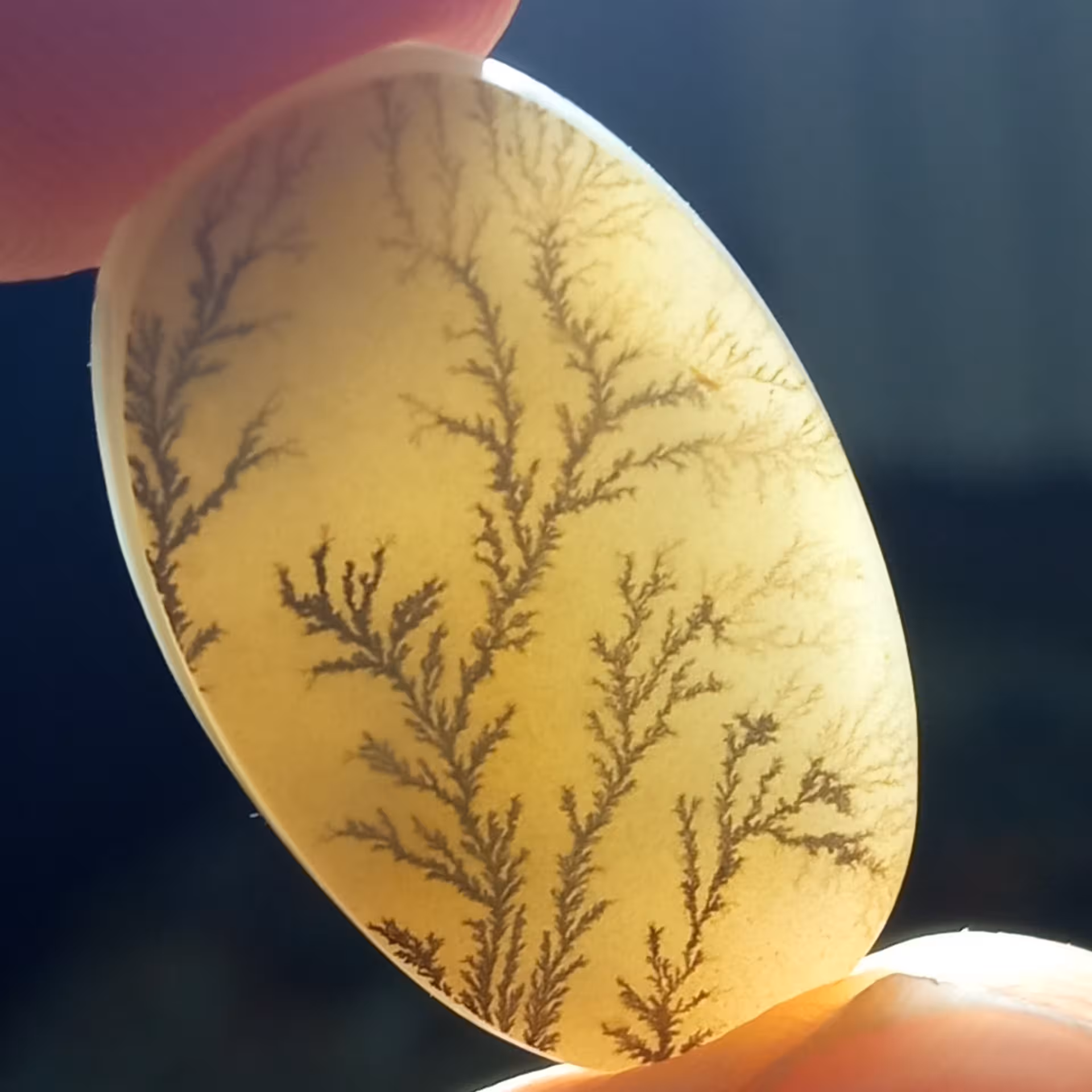 نگین عقیق شجر یمنی بسیار زیبا با شاخه های کشیده و سوزنی مناسب انگشتر و غیره